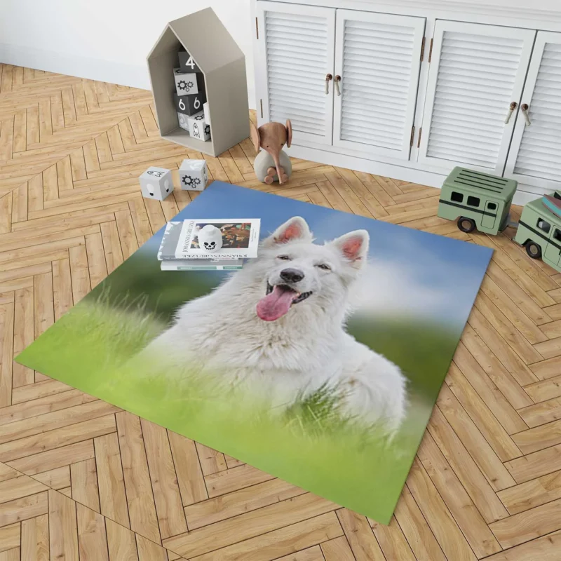 Amidst the Blurred Grass: White Shepherd Quartet Floor Rug 1