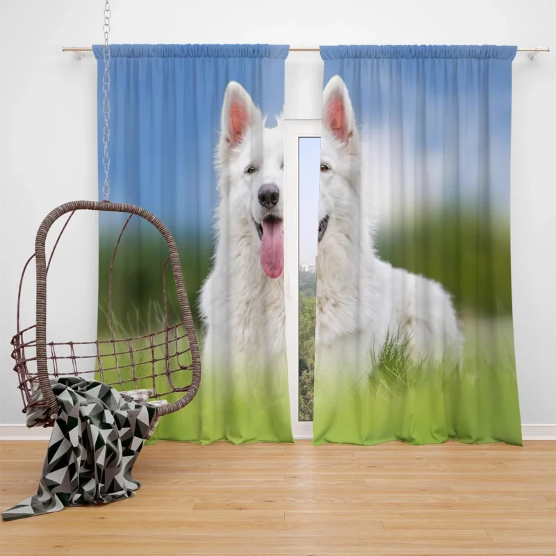 Amidst the Blurred Grass: White Shepherd Quartet Window Curtain