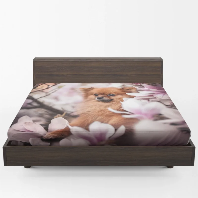 Amongst Magnolia Blossoms: Spitz Quartet Fitted Sheet 1