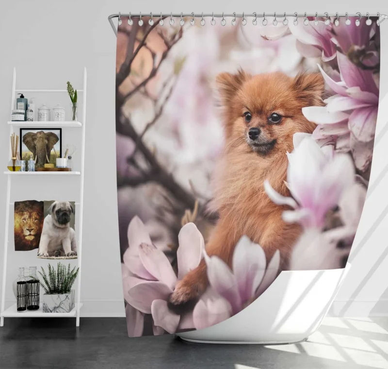 Amongst Magnolia Blossoms: Spitz Quartet Shower Curtain