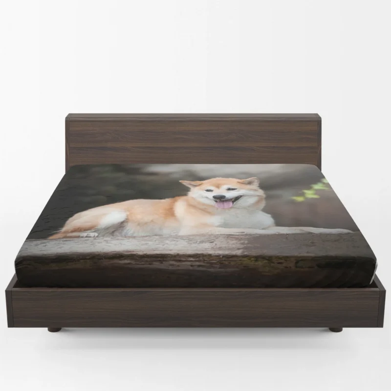 An Enchanting Ensemble: Shiba Inu Quartet Fitted Sheet 1