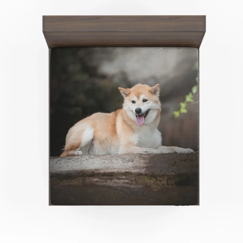 An Enchanting Ensemble: Shiba Inu Quartet Fitted Sheet