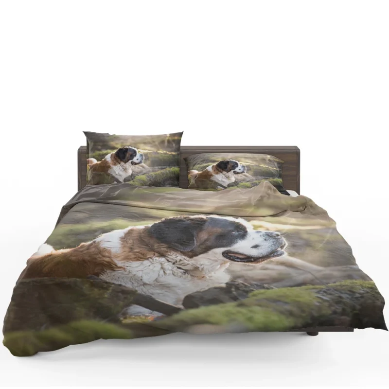 An Iconic Breed: St. Bernard Quartet Bedding Set