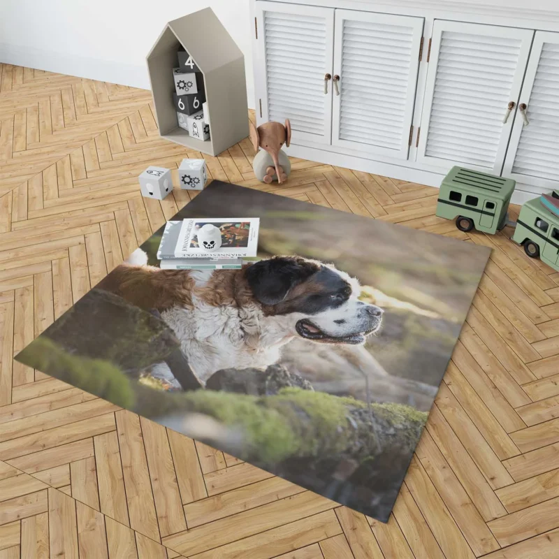 An Iconic Breed: St. Bernard Quartet Floor Rug 1