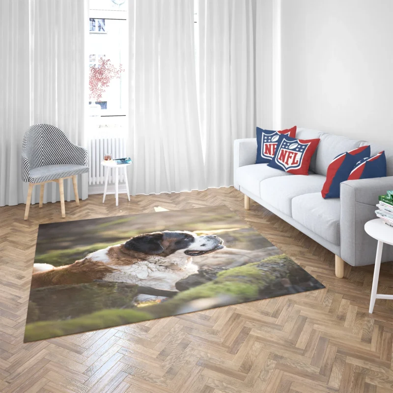 An Iconic Breed: St. Bernard Quartet Floor Rug 2