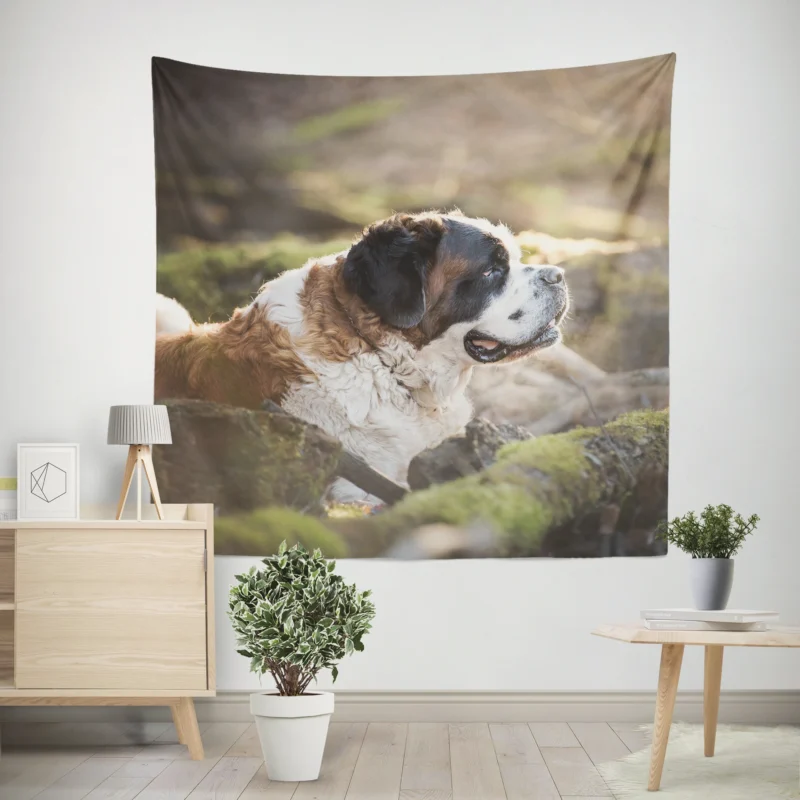 An Iconic Breed  St. Bernard Quartet Wall Tapestry