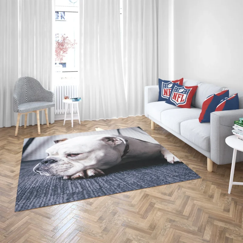 An Ode to Bulldog Beauty: Bulldog Quartet Floor Rug 2