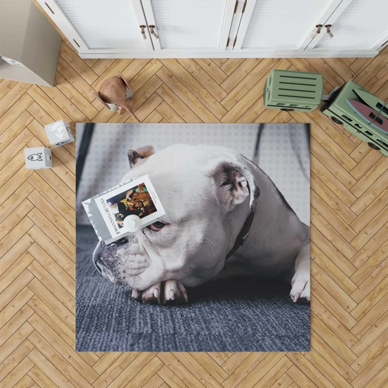 An Ode to Bulldog Beauty: Bulldog Quartet Floor Rug