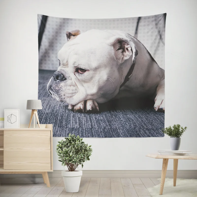 An Ode to Bulldog Beauty  Bulldog Quartet Wall Tapestry