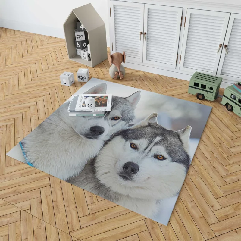 Arctic Companions: Alaskan Malamute and Husky Quartet Floor Rug 1