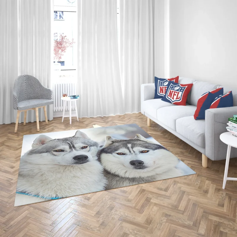 Arctic Companions: Alaskan Malamute and Husky Quartet Floor Rug 2