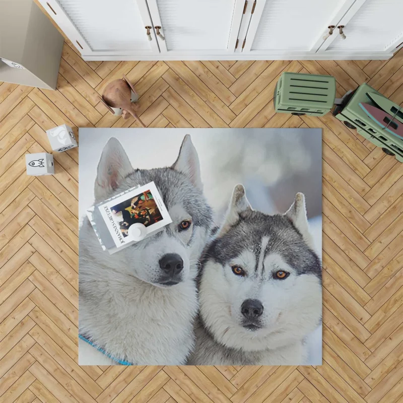 Arctic Companions: Alaskan Malamute and Husky Quartet Floor Rug