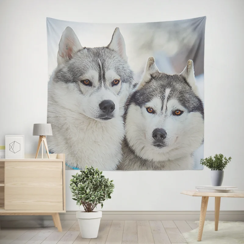 Arctic Companions  Alaskan Malamute and Husky Quartet Wall Tapestry