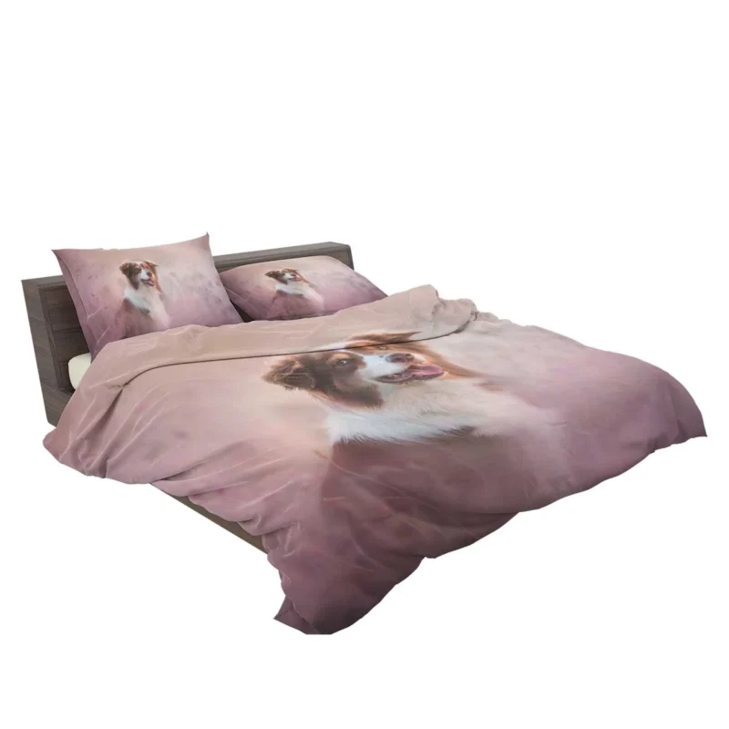 Artistic Blurred Canine Beauty: Australian Shepherd Bedding Set 2