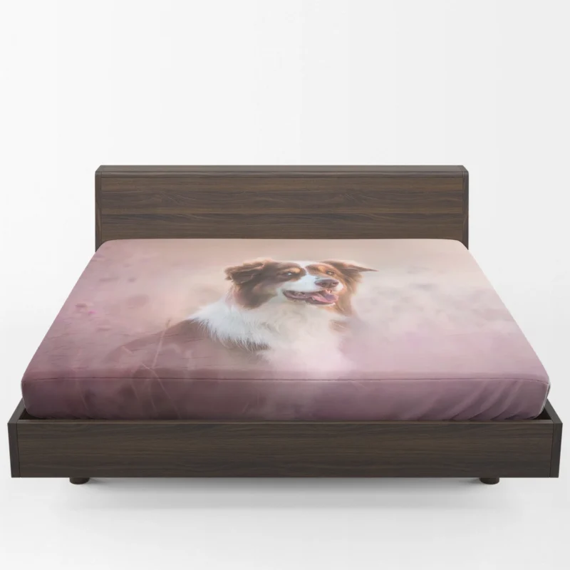 Artistic Blurred Canine Beauty: Australian Shepherd Fitted Sheet 1