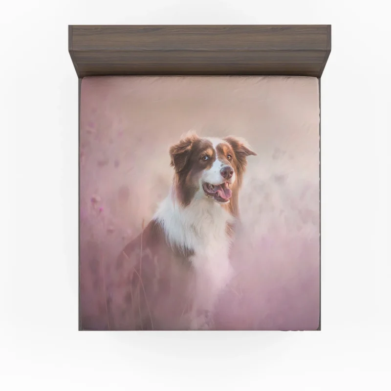 Artistic Blurred Canine Beauty: Australian Shepherd Fitted Sheet