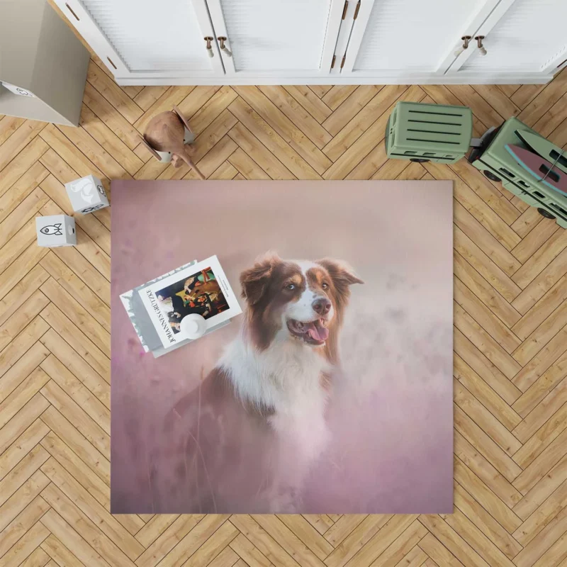 Artistic Blurred Canine Beauty: Australian Shepherd Floor Rug