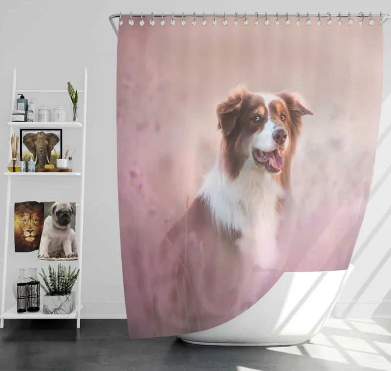 Artistic Blurred Canine Beauty: Australian Shepherd Shower Curtain