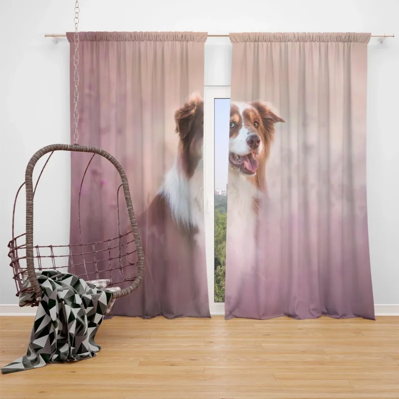 Artistic Blurred Canine Beauty: Australian Shepherd Window Curtain