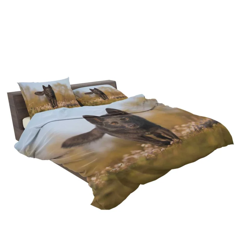 Australian Beauty Quartet: Kelpie in Flower Field Bedding Set 2