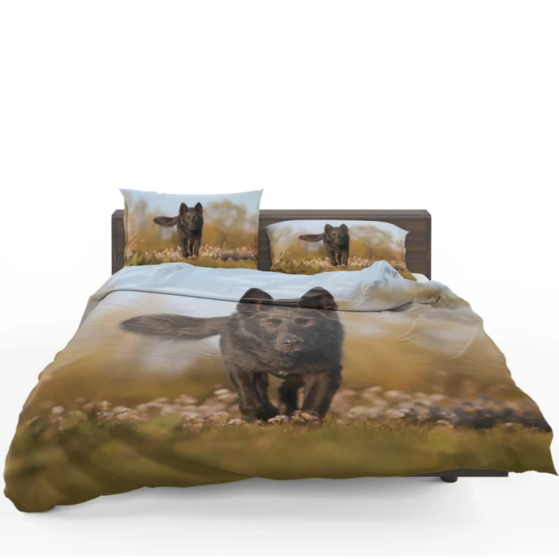 Australian Beauty Quartet: Kelpie in Flower Field Bedding Set