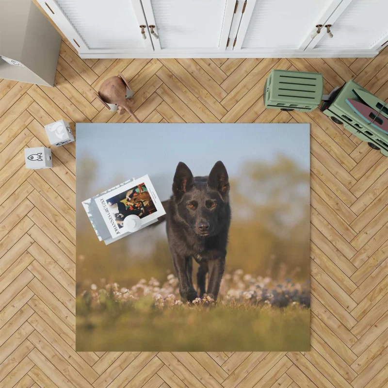 Australian Beauty Quartet: Kelpie in Flower Field Floor Rug