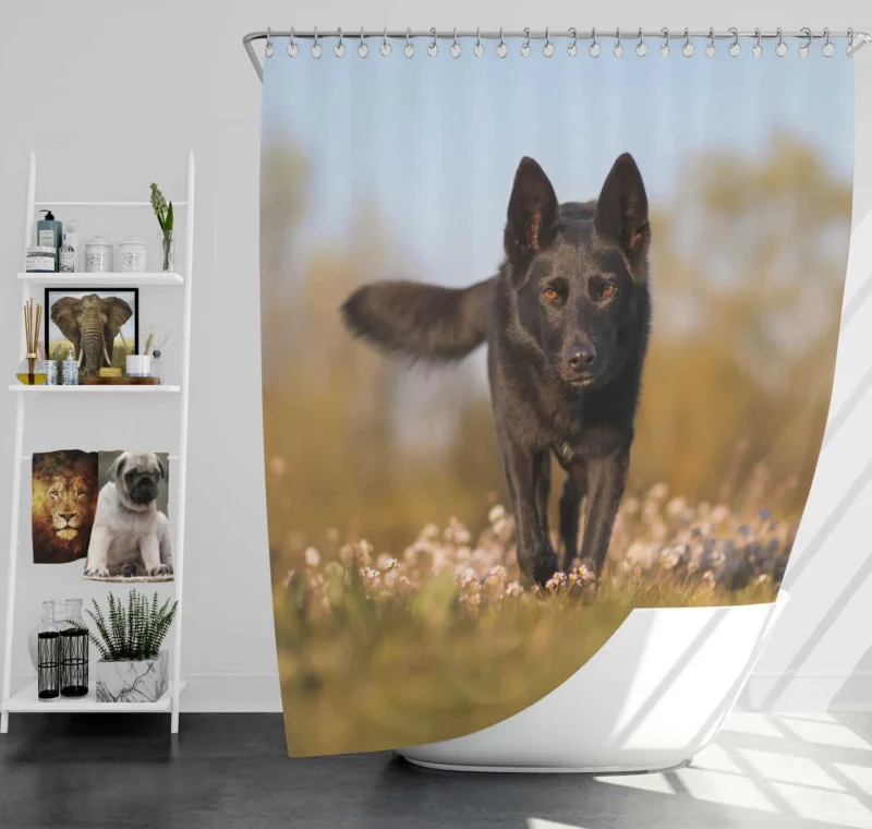 Australian Beauty Quartet: Kelpie in Flower Field Shower Curtain