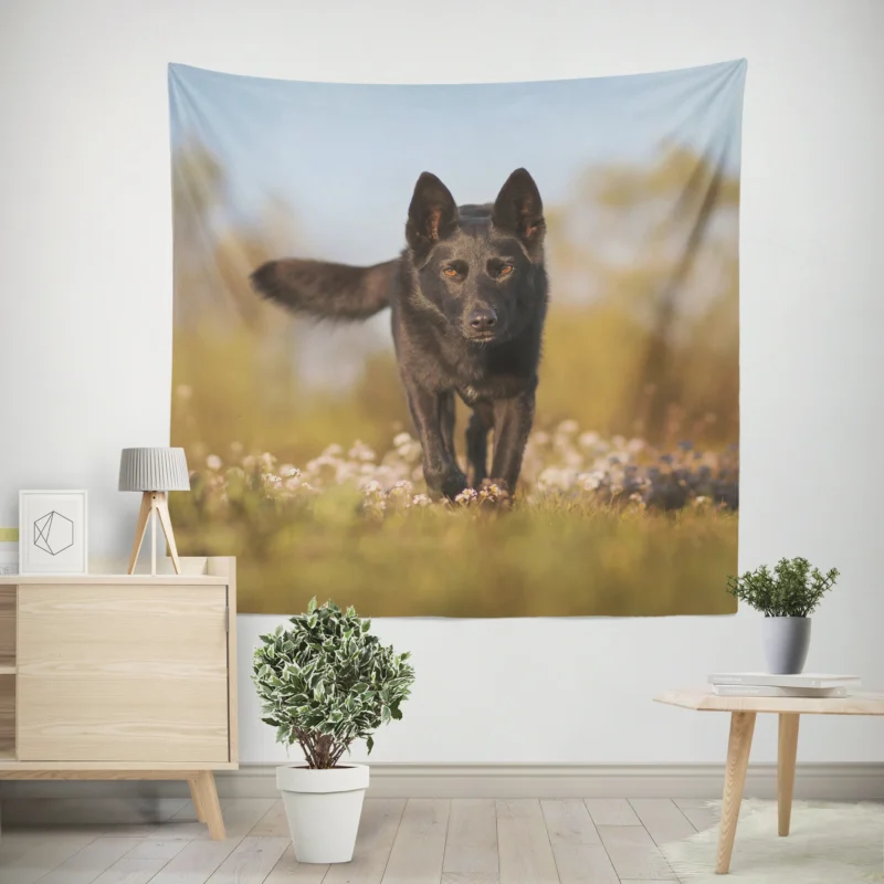 Australian Beauty Quartet  Kelpie in Flower Field Wall Tapestry