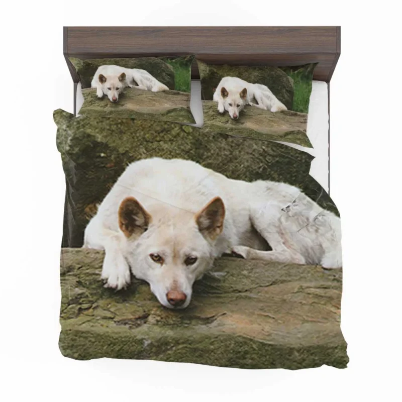 Australian Dingoes in the Wild: Dingo Quartet Bedding Set 1