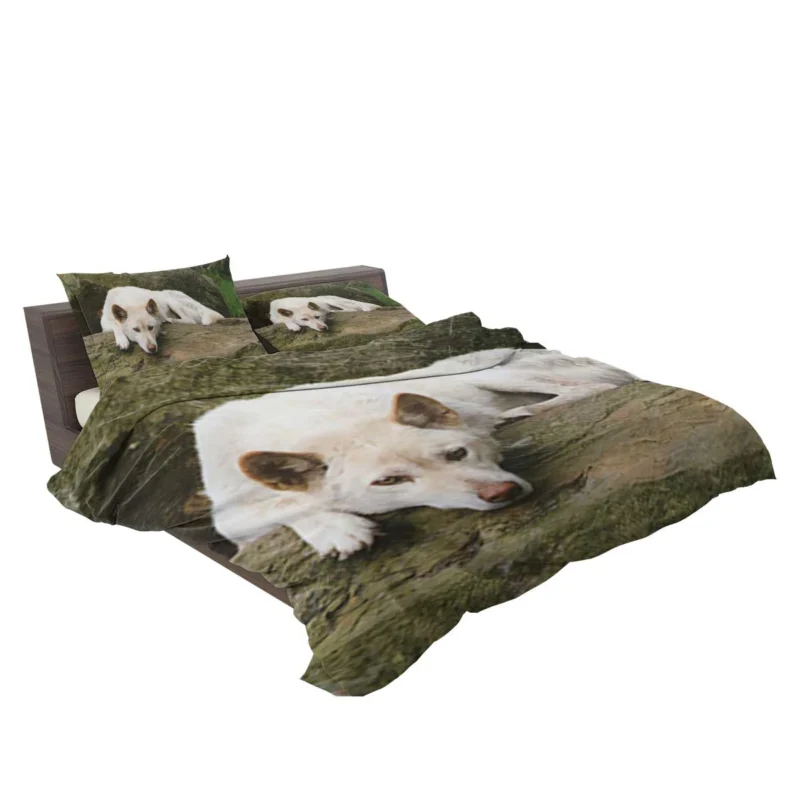 Australian Dingoes in the Wild: Dingo Quartet Bedding Set 2