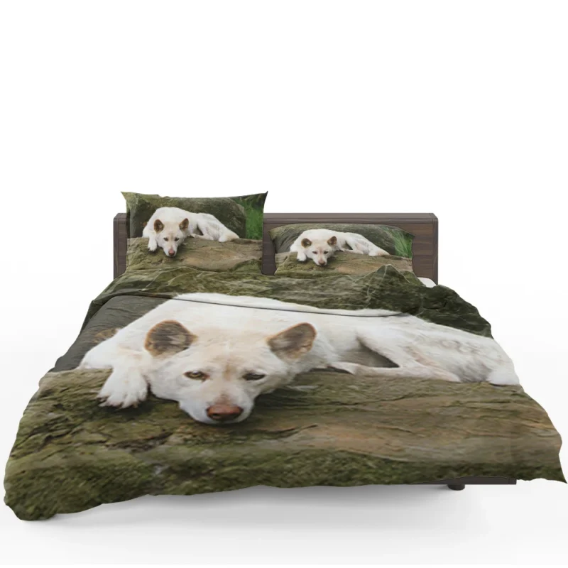 Australian Dingoes in the Wild: Dingo Quartet Bedding Set