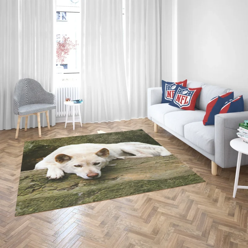 Australian Dingoes in the Wild: Dingo Quartet Floor Rug 2