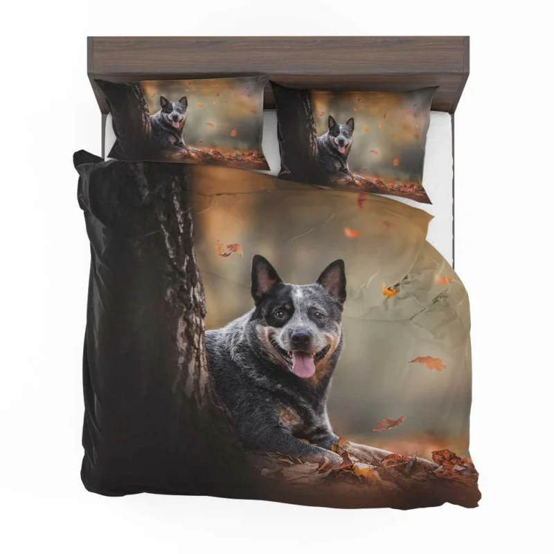 Australian Heeler Breed: Australian Cattle Dog Bedding Set 1