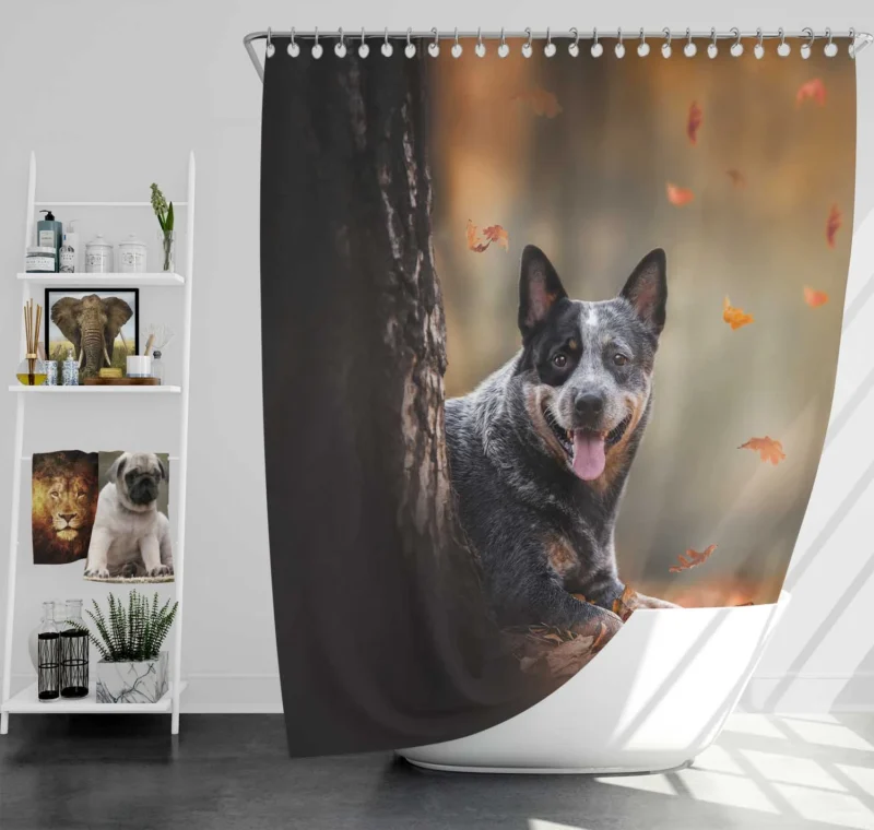 Australian Heeler Breed: Australian Cattle Dog Shower Curtain