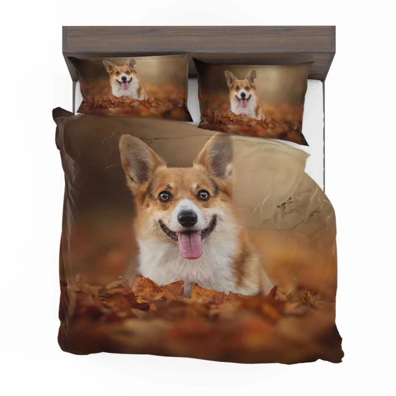 Autumn Beauty with Depth of Field: Corgi Quartet Bedding Set 1