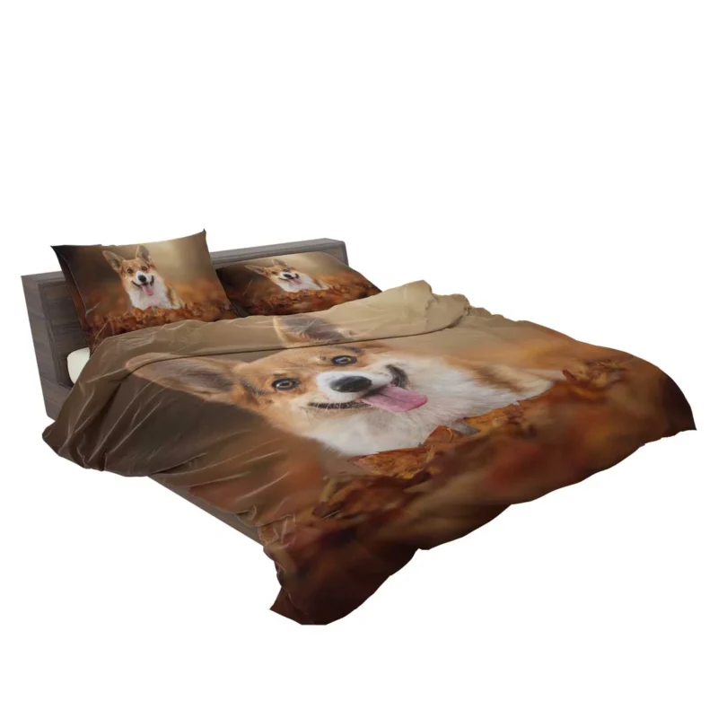 Autumn Beauty with Depth of Field: Corgi Quartet Bedding Set 2