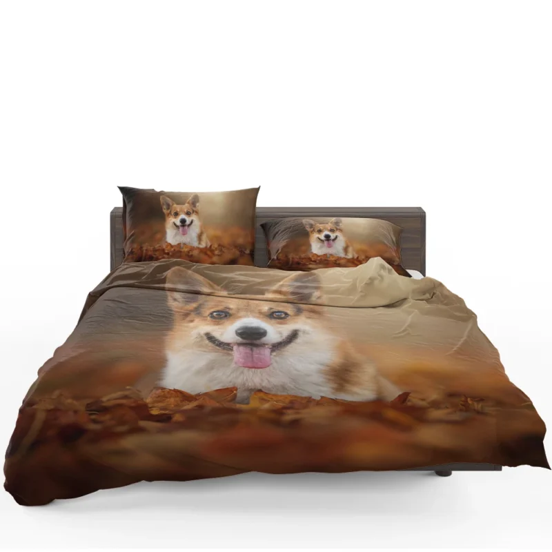 Autumn Beauty with Depth of Field: Corgi Quartet Bedding Set