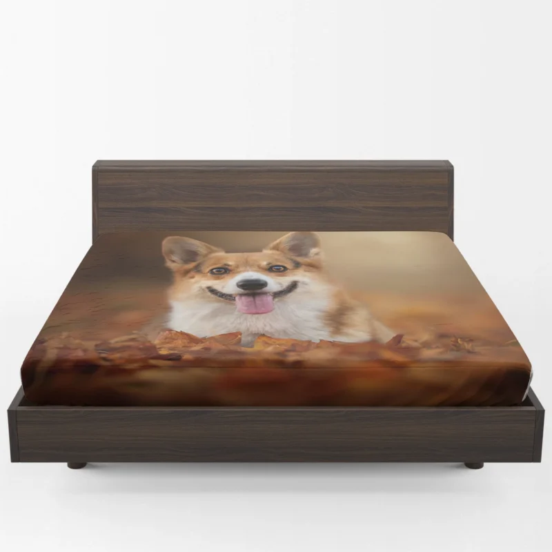 Autumn Beauty with Depth of Field: Corgi Quartet Fitted Sheet 1