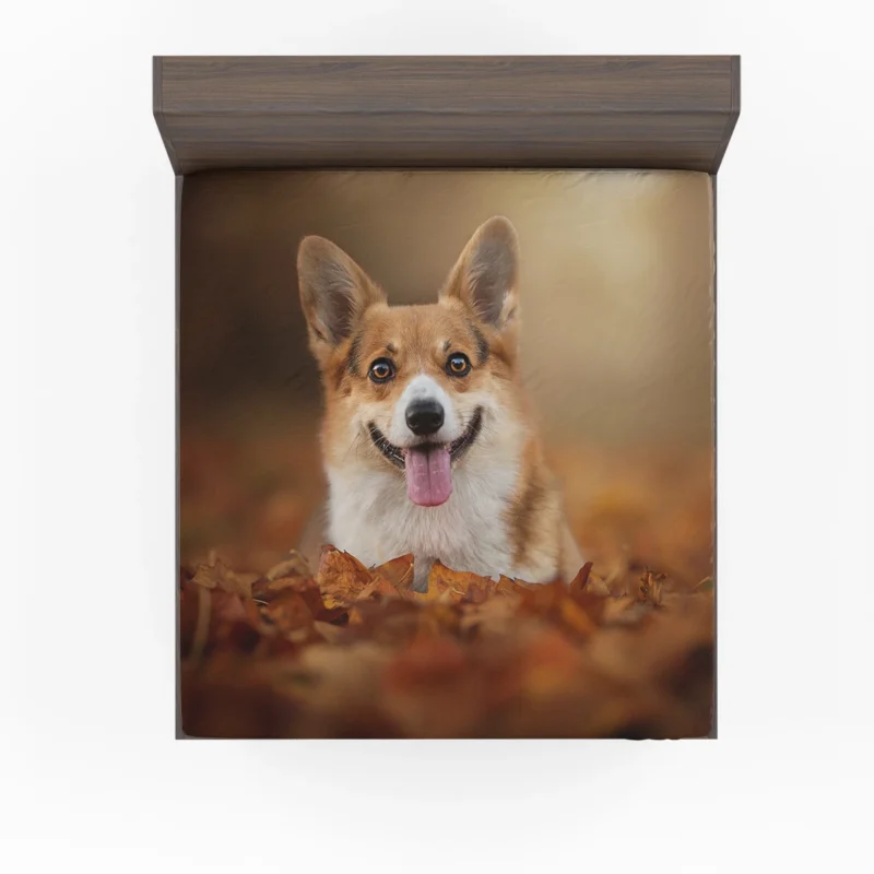 Autumn Beauty with Depth of Field: Corgi Quartet Fitted Sheet