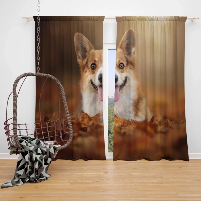 Autumn Beauty with Depth of Field: Corgi Quartet Window Curtain