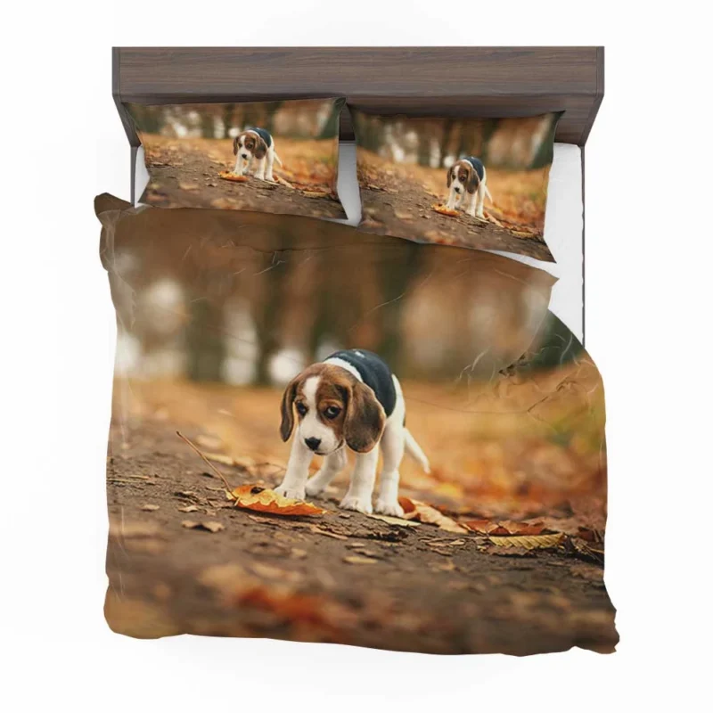 Autumn Bliss with a Sad Canine and Falling Leaves: Beagle Bedding Set 1