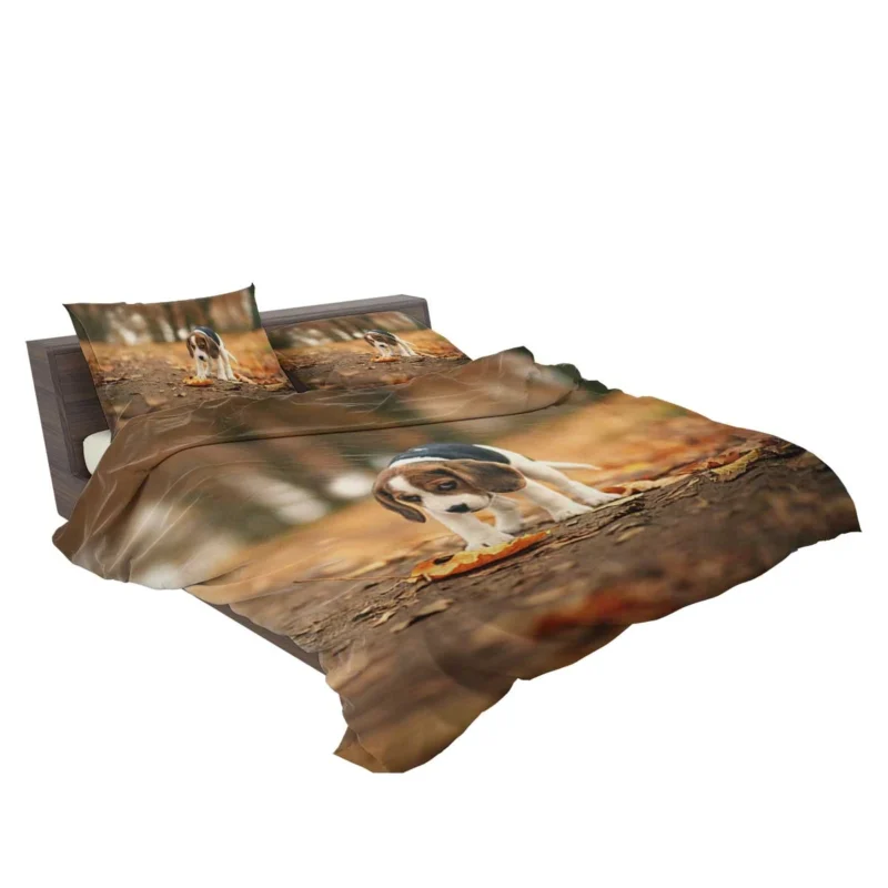 Autumn Bliss with a Sad Canine and Falling Leaves: Beagle Bedding Set 2