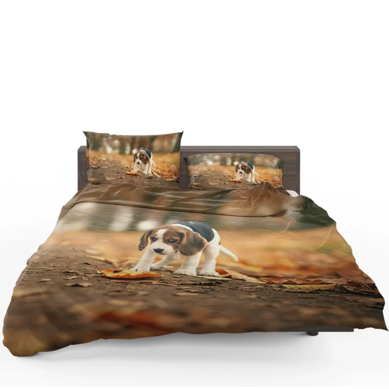 Autumn Bliss with a Sad Canine and Falling Leaves: Beagle Bedding Set