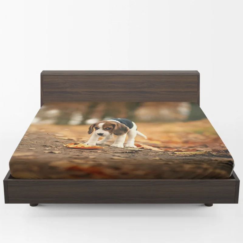 Autumn Bliss with a Sad Canine and Falling Leaves: Beagle Fitted Sheet 1