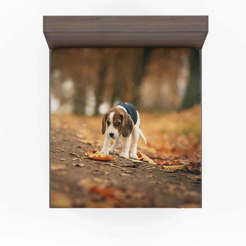 Autumn Bliss with a Sad Canine and Falling Leaves: Beagle Fitted Sheet