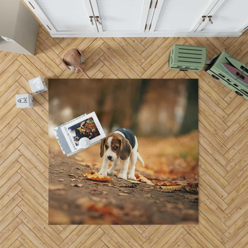 Autumn Bliss with a Sad Canine and Falling Leaves: Beagle Floor Rug