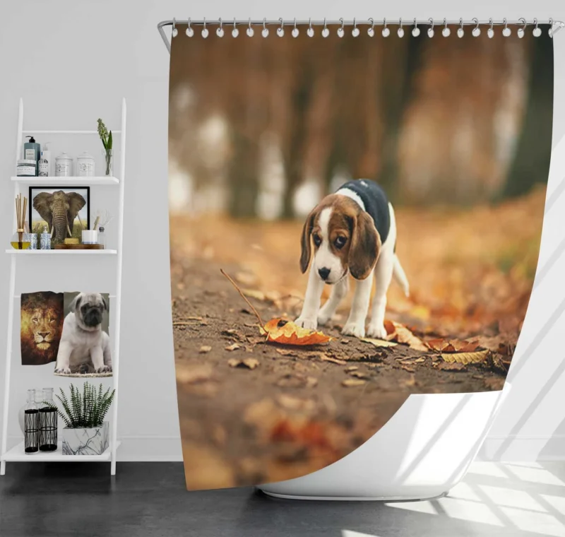 Autumn Bliss with a Sad Canine and Falling Leaves: Beagle Shower Curtain