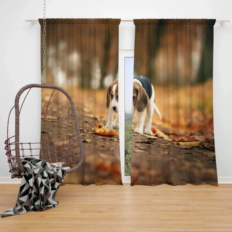 Autumn Bliss with a Sad Canine and Falling Leaves: Beagle Window Curtain