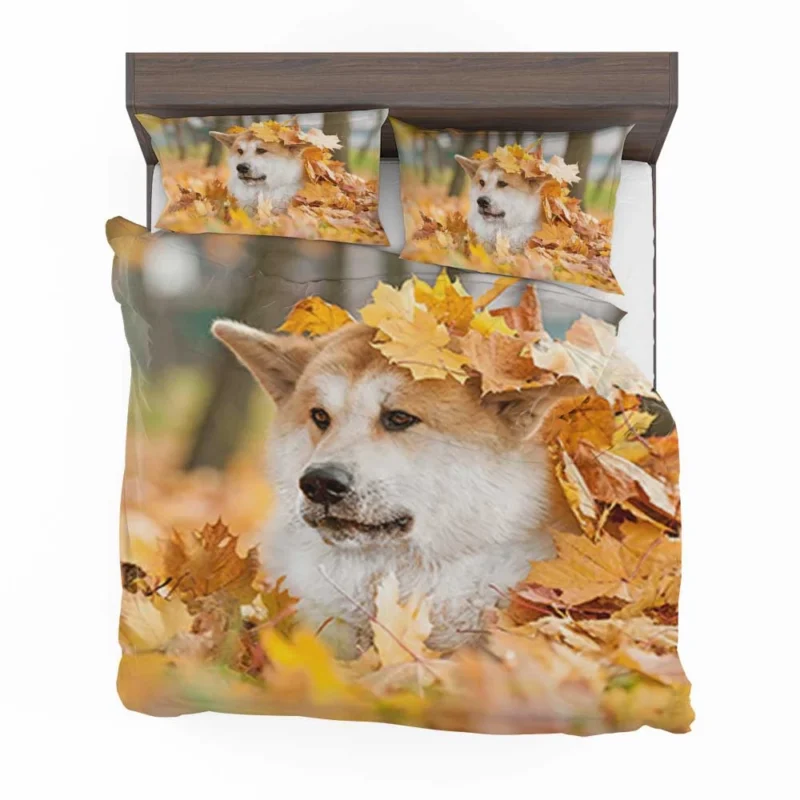 Autumn Leaves and Beauty: The Akita Quartet Bedding Set 1