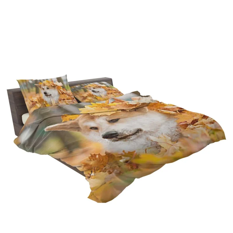 Autumn Leaves and Beauty: The Akita Quartet Bedding Set 2